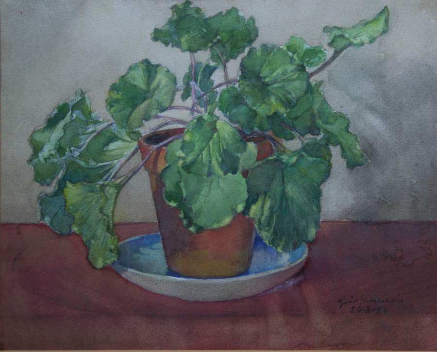 Acquerello Basilico_25x31